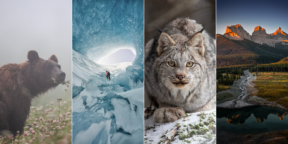 Объявлены победители фотоконкурса журнала Canadian Geographic: 15 кадров