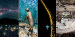 Красоты нашей планеты: объявлены победители фотоконкурса The Nature Photography Contest
