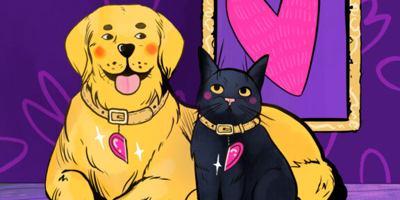 Теория «золотистого ретривера» и «чёрного кота» в отношениях — правда ли это идеальная пара