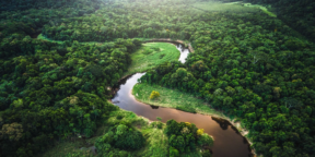 В джунглях Амазонки нашли давно потерянный 2500-летний мегаполис