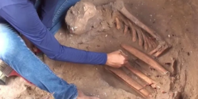 В Бразилии нашли останки охотников-собирателей, живших 10 000 лет назад