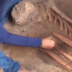 В Бразилии нашли останки охотников-собирателей, живших 10 000 лет назад