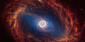«Джеймс Уэбб» прислал уникальные кадры 19 близлежащих спиральных галактик