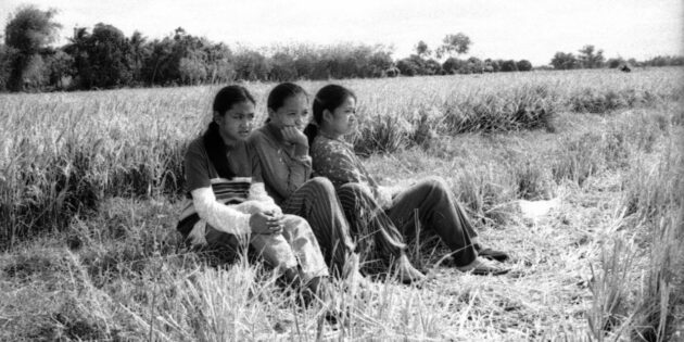 «Эволюция филиппинской семьи»