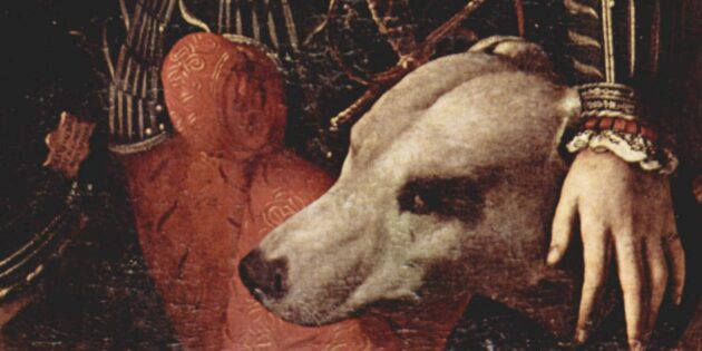 Герцог Гвидобальдо II делла Ровере и его собака. Портрет работы Анджело Бронзино (1531–1532)