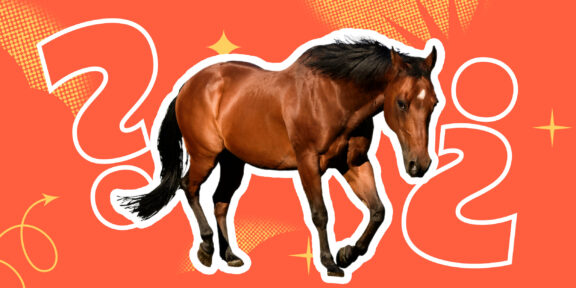 Знаете ли вы, сколько лошадиных сил в одной лошади?