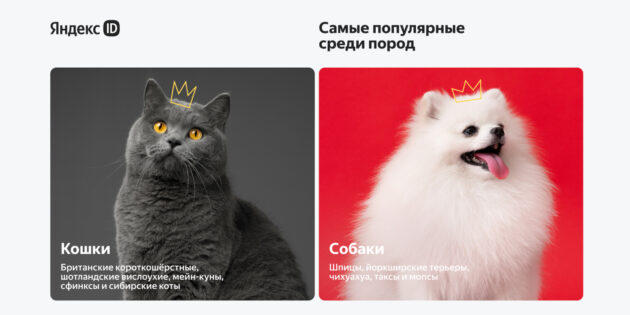 Яндекс ID проанализировал данные о питомцах пользователей