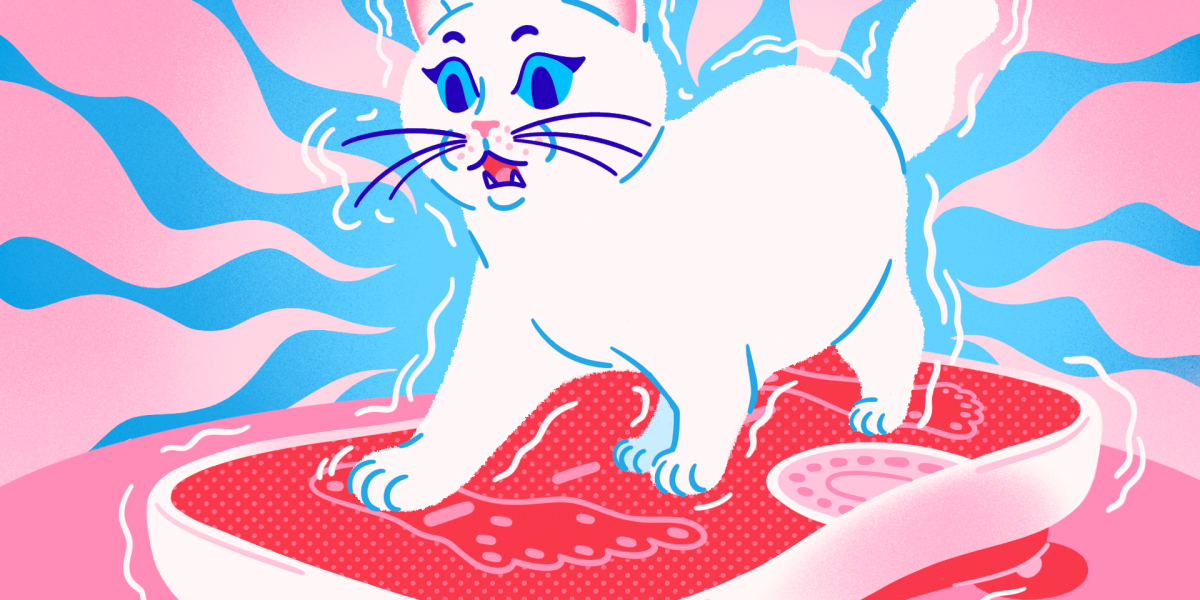 Как работают виброплатформы и кому они помогают