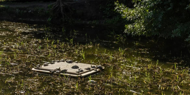 A lake sieve, a river “vacuum cleaner” and 3 more technologies that help fight water pollution