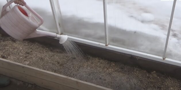 Как и чем обработать почву в теплице весной: биофунгициды