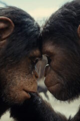 «Планета обезьян: Новое царство» чуть хуже предыдущих частей, но очень красивая