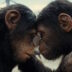 «Планета обезьян: Новое царство» чуть хуже предыдущих частей, но очень красивая