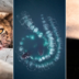 Трясогузки в небе и козёл в горах: победители GDT Nature Photographer of the Year 2024