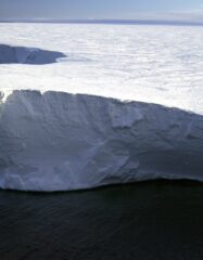 В Антарктике от шельфового ледника откололся очередной айсберг размером с город