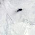 Учёные разгадали 50-летнюю загадку гигантской дыры в антарктическом льду
