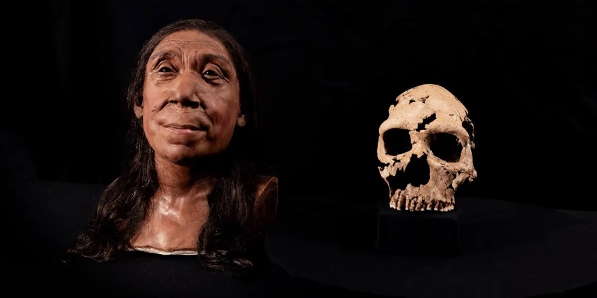 Погребена в цветнике: учёные воссоздали лицо неандертальской женщины