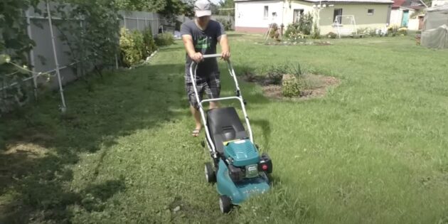 Как ухаживать за газоном: стригите газонную траву