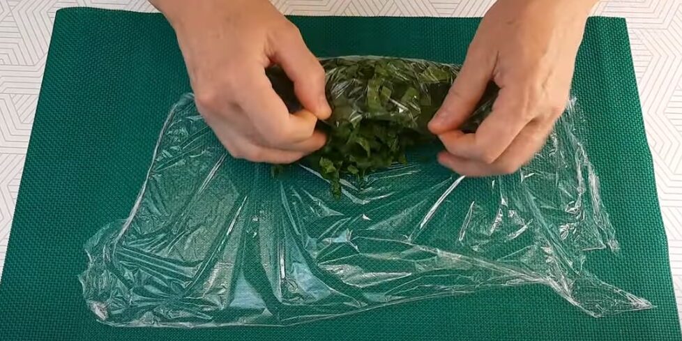 Как заморозить шпинат на зиму: заверните листья в плёнку