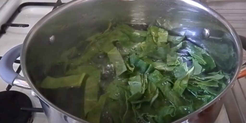 Как заморозить шпинат на зиму: опустите зелень в кипяток