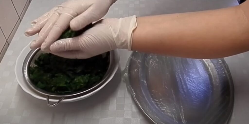 Как заморозить шпинат на зиму: отожмите зелень