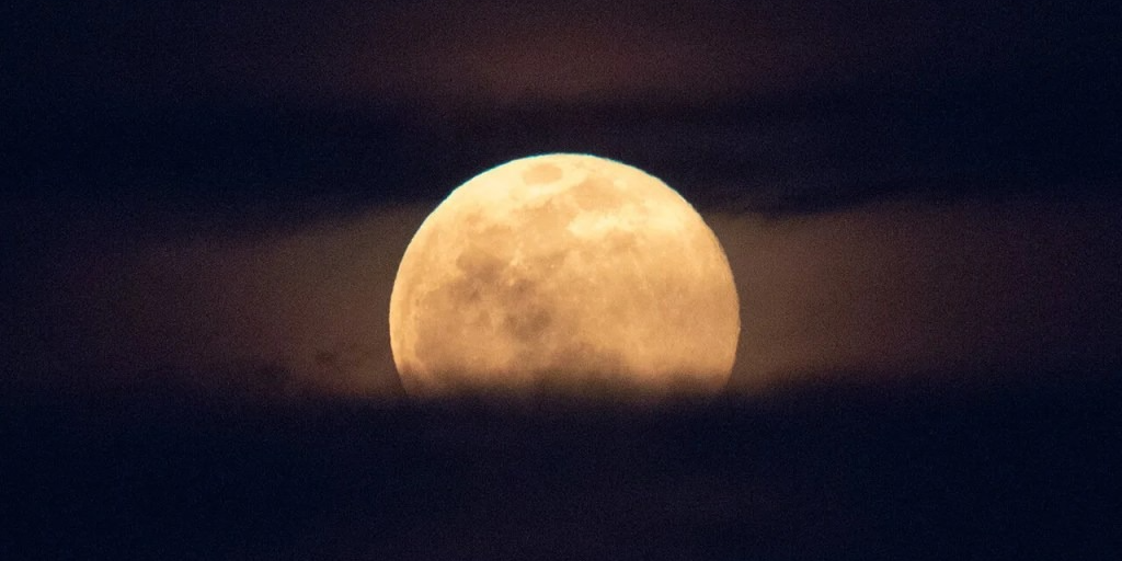 В этом году ожидается «остановка» Луны — такое происходит лишь раз в 18,6 лет