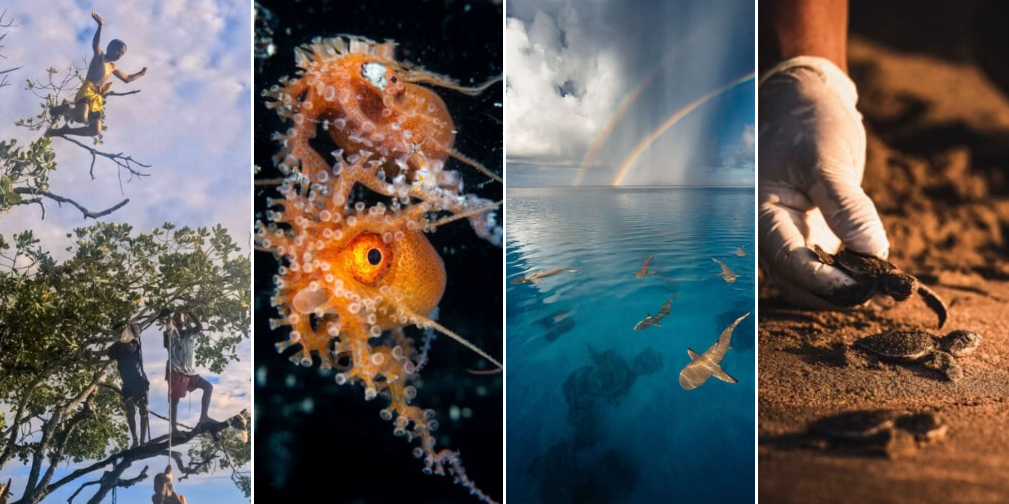 Путь воды: 15 победителей фотоконкурса ООН, посвящённого Всемирному дню океанов