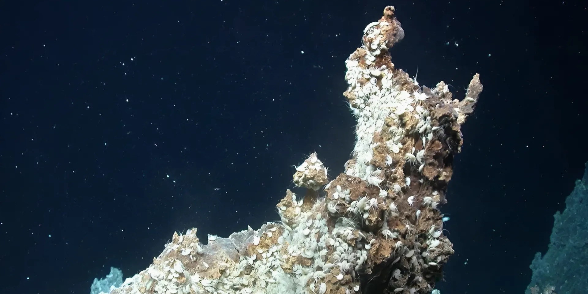 Оазис за Полярным кругом: учёные нашли гидротермальные очаги на 3-километровой глубине у Шпицбергена