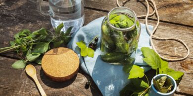 Как ферментировать листья смородины: простая инструкция