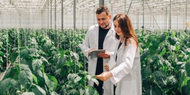 Агрокибернетики и ГМО-агрономы: школьникам расскажут про новые рабочие профессии