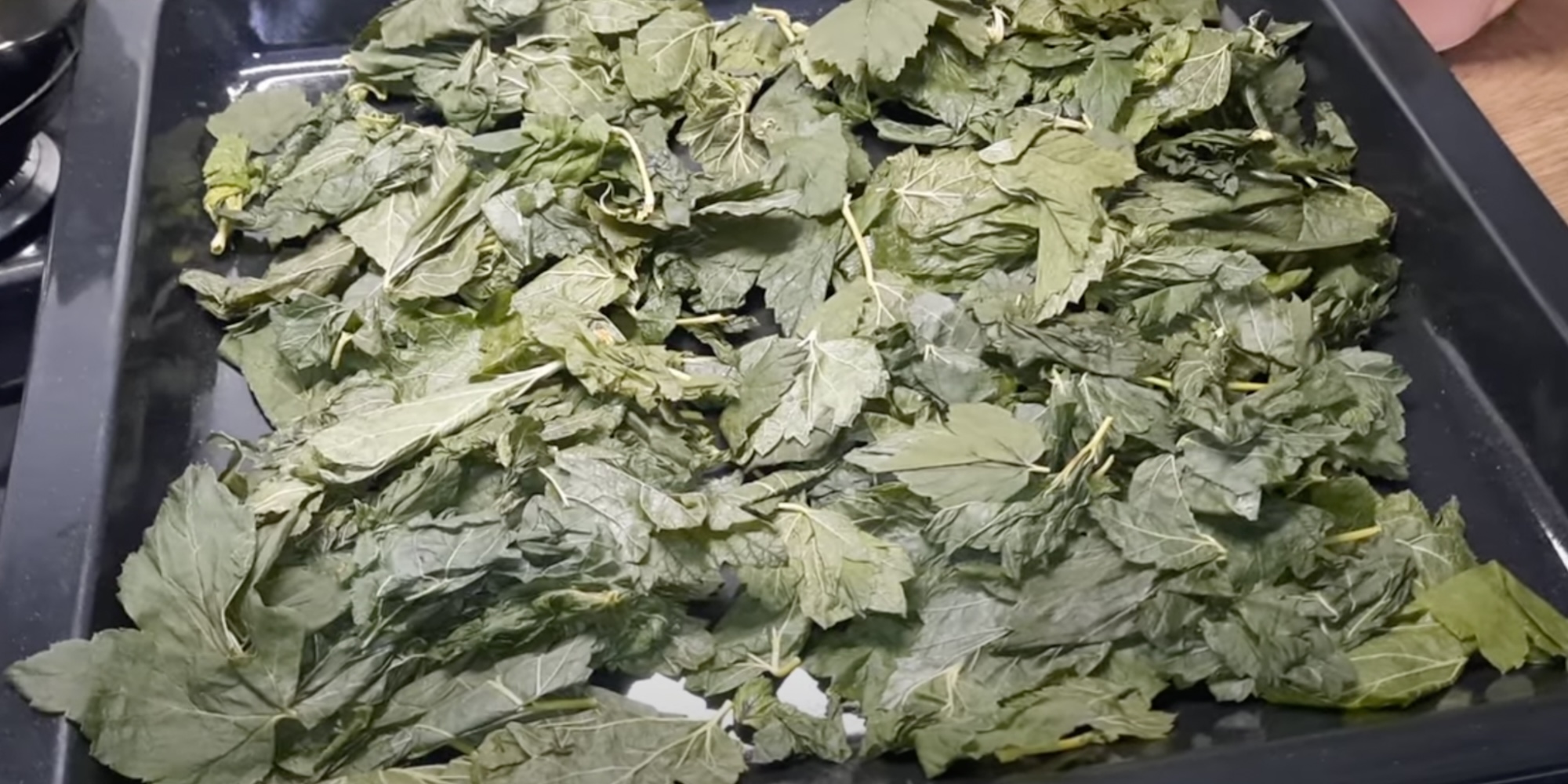Подсушите листья после ферментации