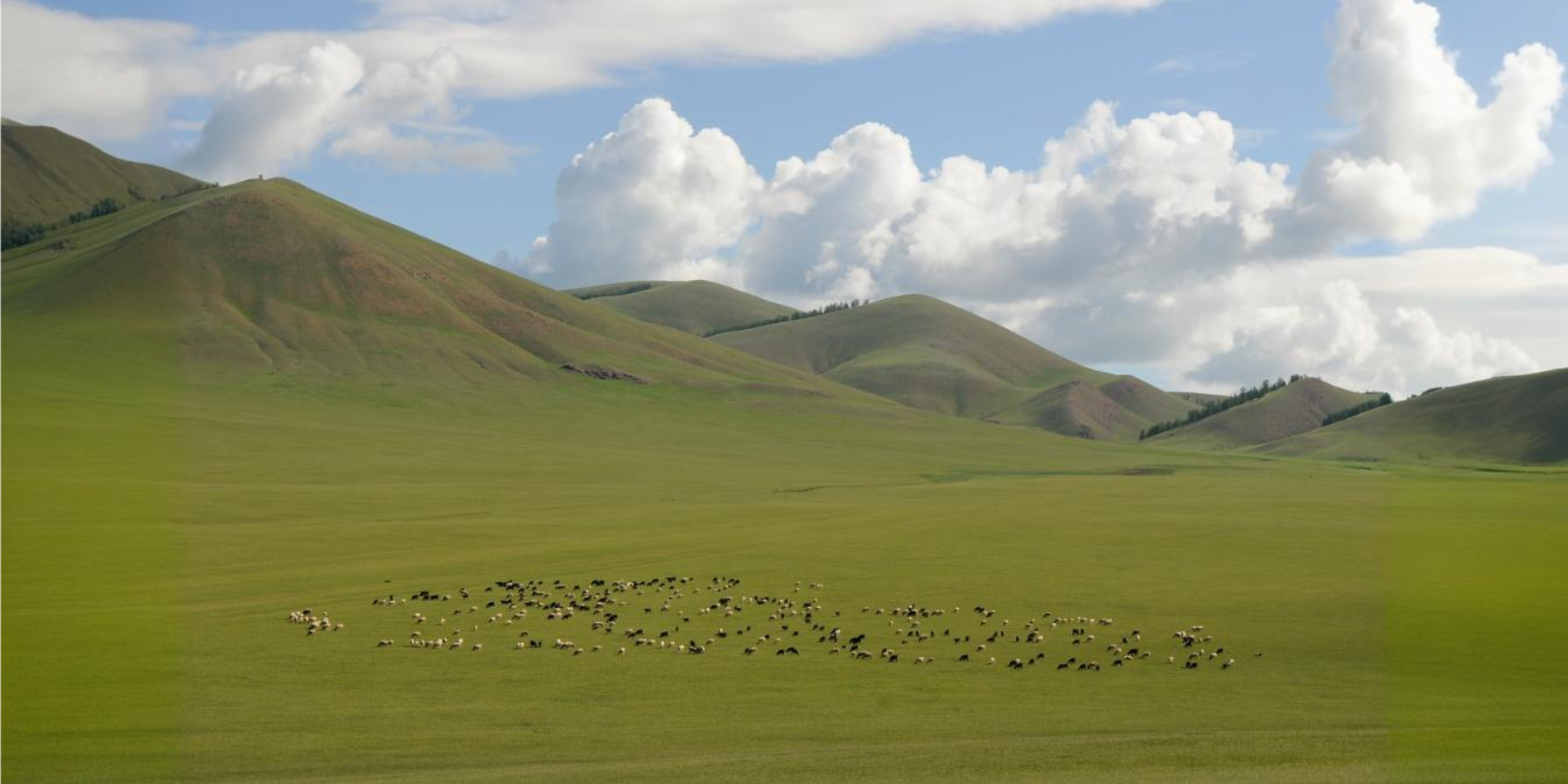 Учёные рассказали о существовавшем в центре Азии Монголо-Охотском океане