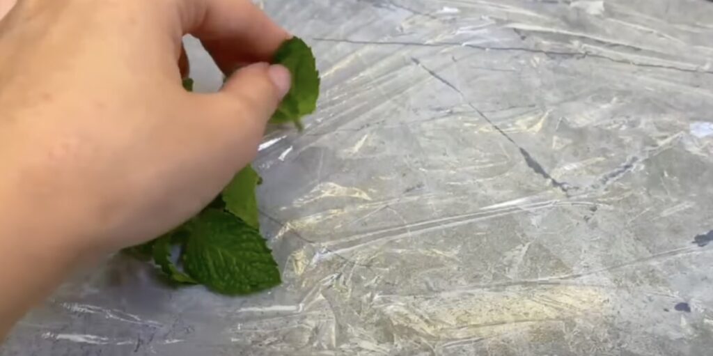 Как заморозить мяту в пищевой плёнке: разложите зелень