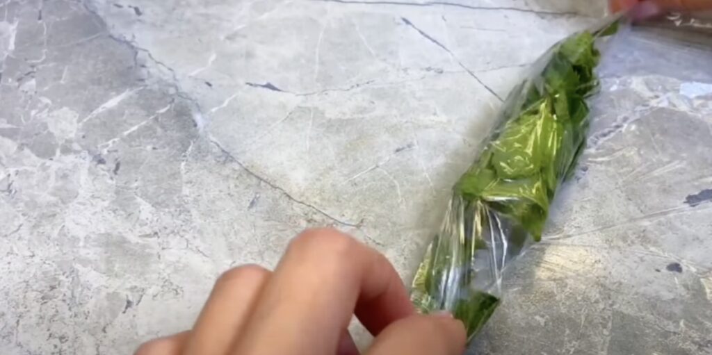 Как заморозить мяту в пищевой плёнке: скрутите листья