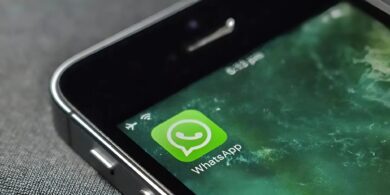 стикеры Giphy в WhatsApp