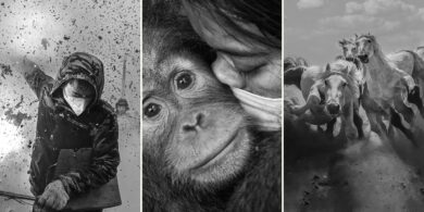 Black and White Photo Awards 2024