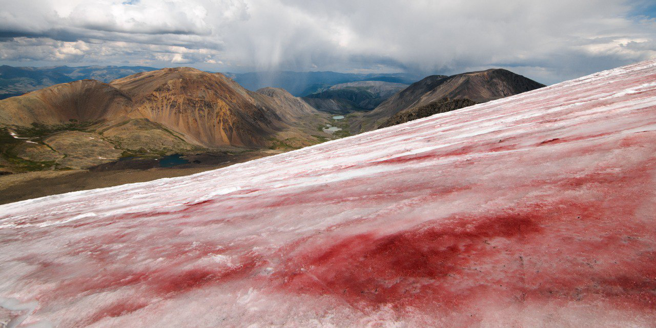 Ледники на Алтае окрасились в кроваво-красный цвет и начали быстрее таять