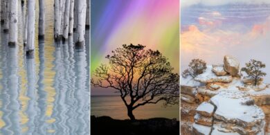 Natural Landscape Photography Awards 2024