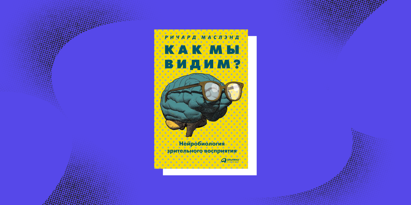 Книги о том, как устроен человек: «Как мы видим? Нейробиология зрительного восприятия», Ричард Маслэнд