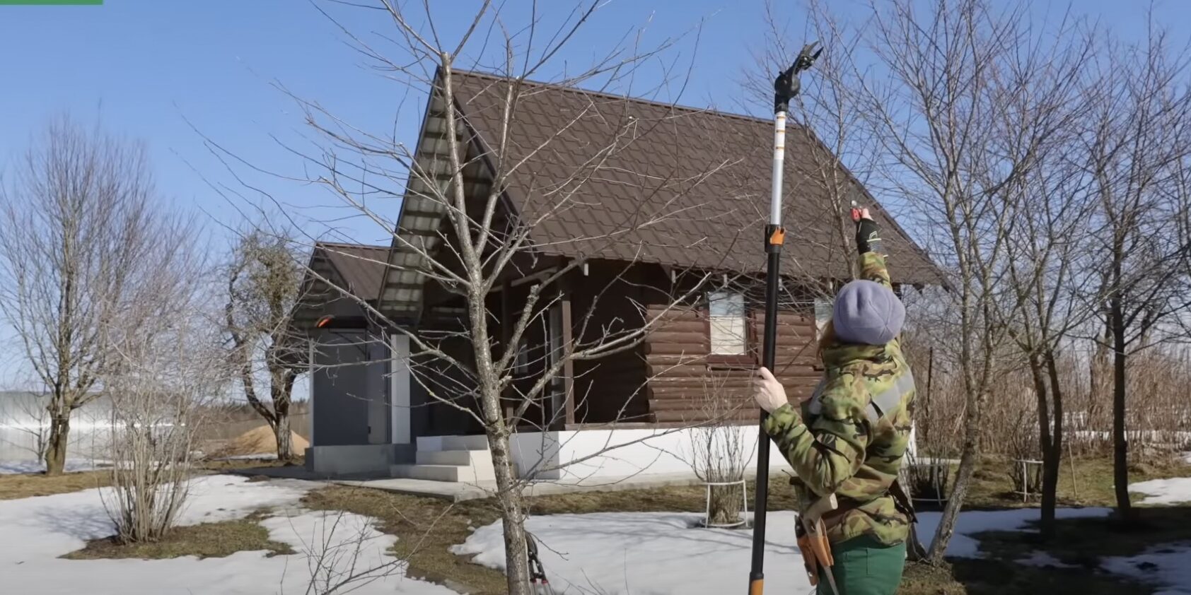 Обработка среза садовым варом