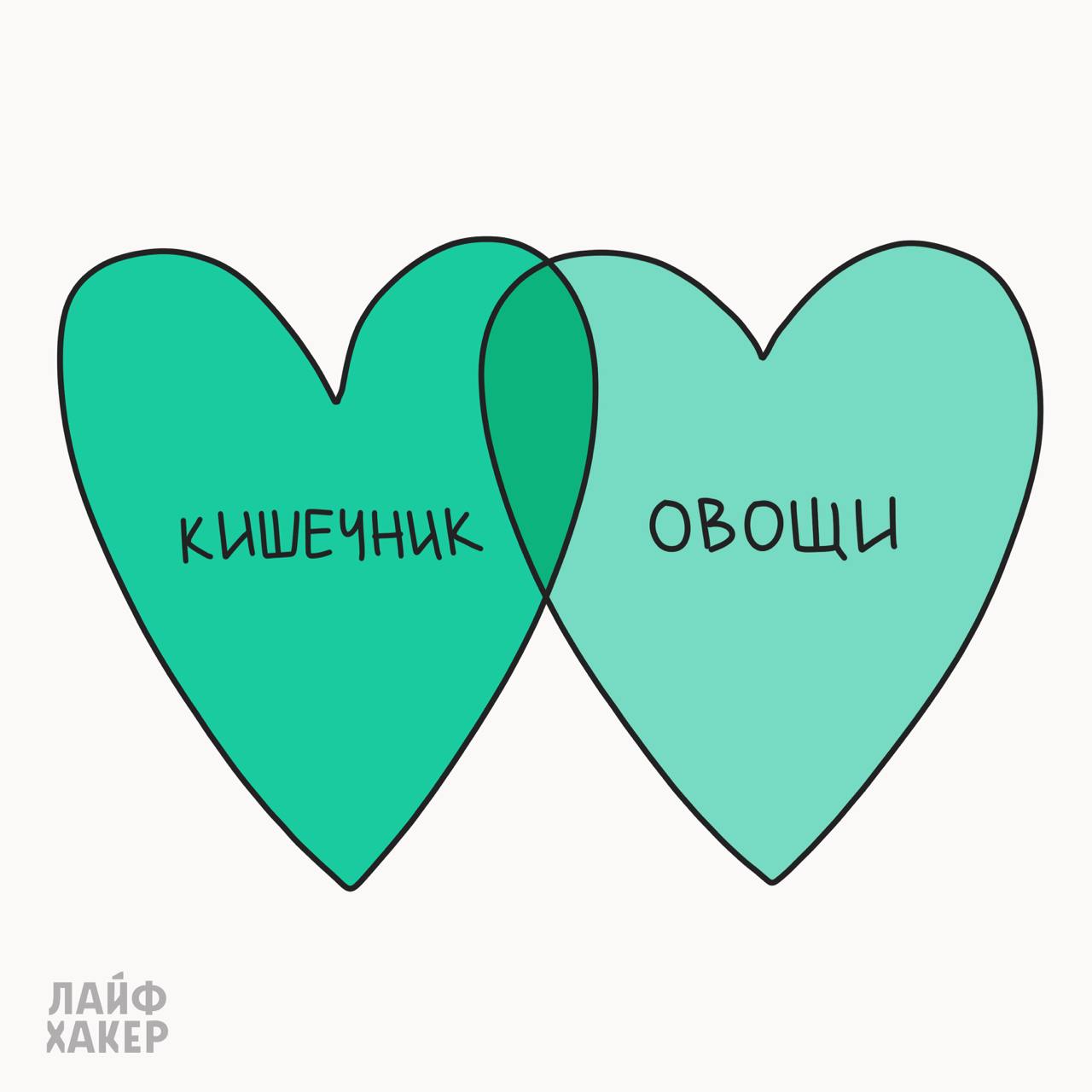 Что полезно для кишечника: овощи