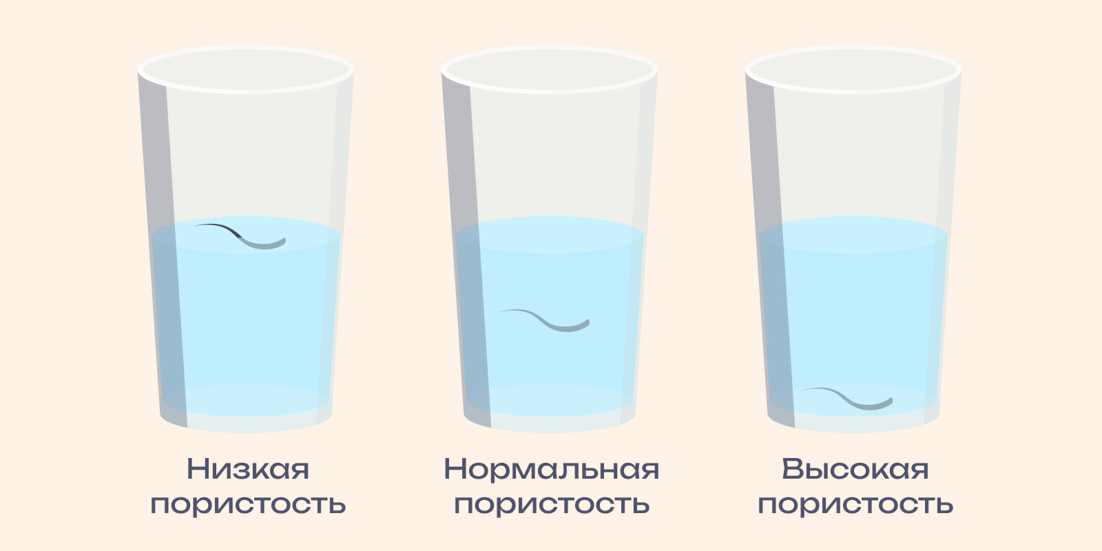 Чтобы правильно ухаживать за пористыми волосами, нужно определить степень их пористости