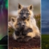 Canadian Geographic 2024