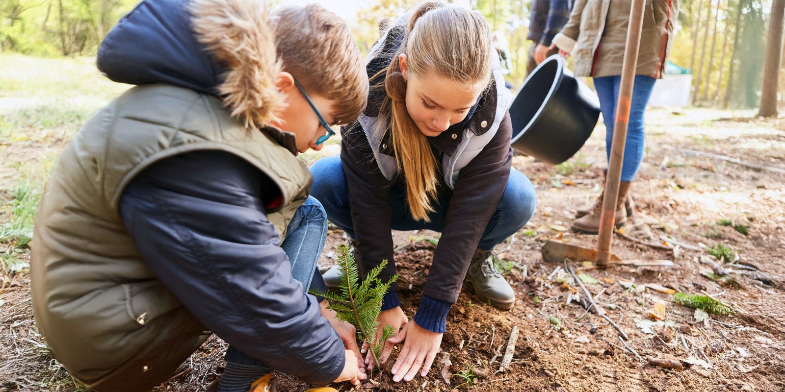 Как научить детей заботиться о природе: посадить дерево