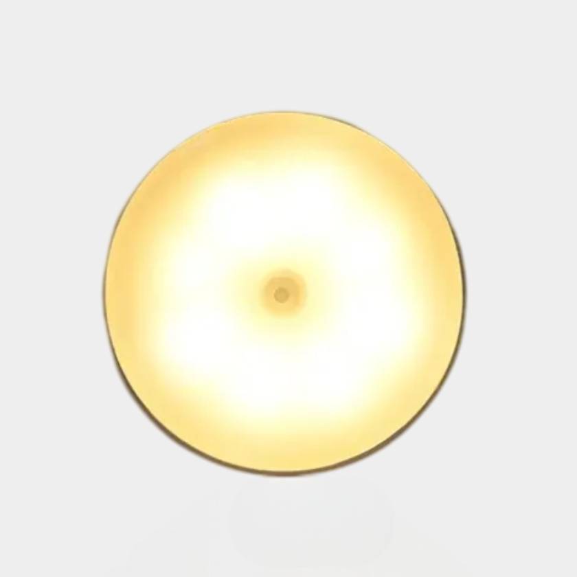 Светильник с датчиком движения