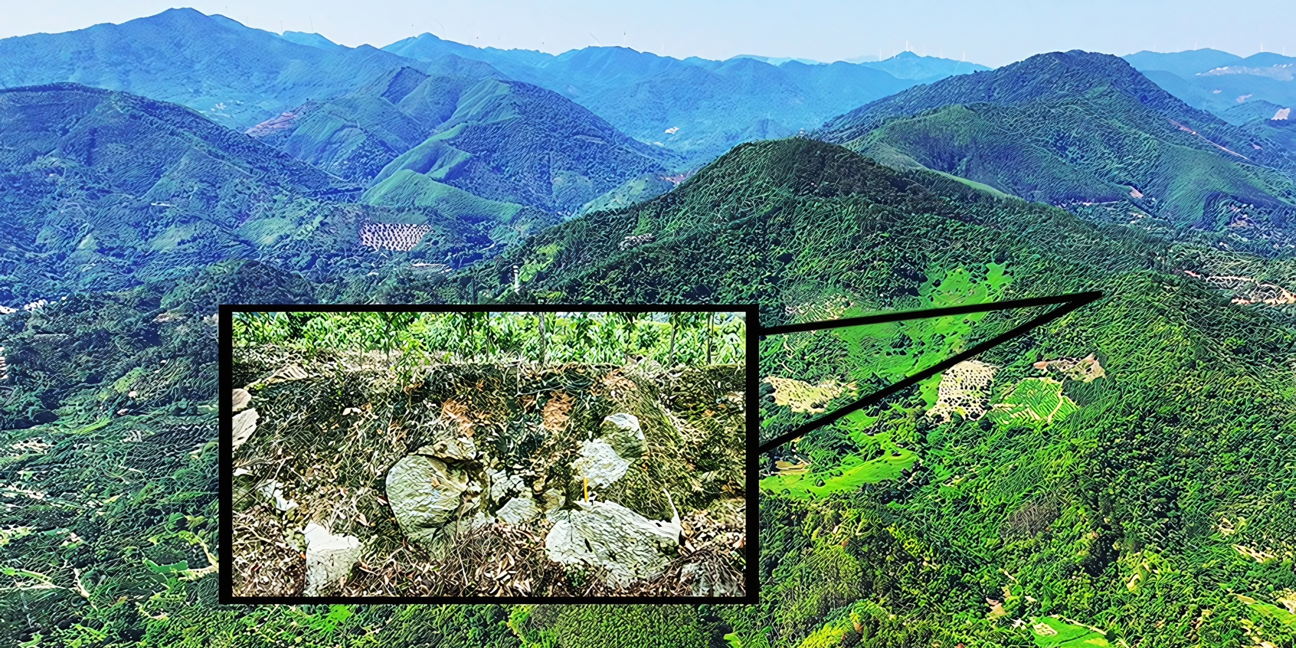 Учёные нашли крупнейший современный метеоритный кратер на Земле — диаметром почти километр