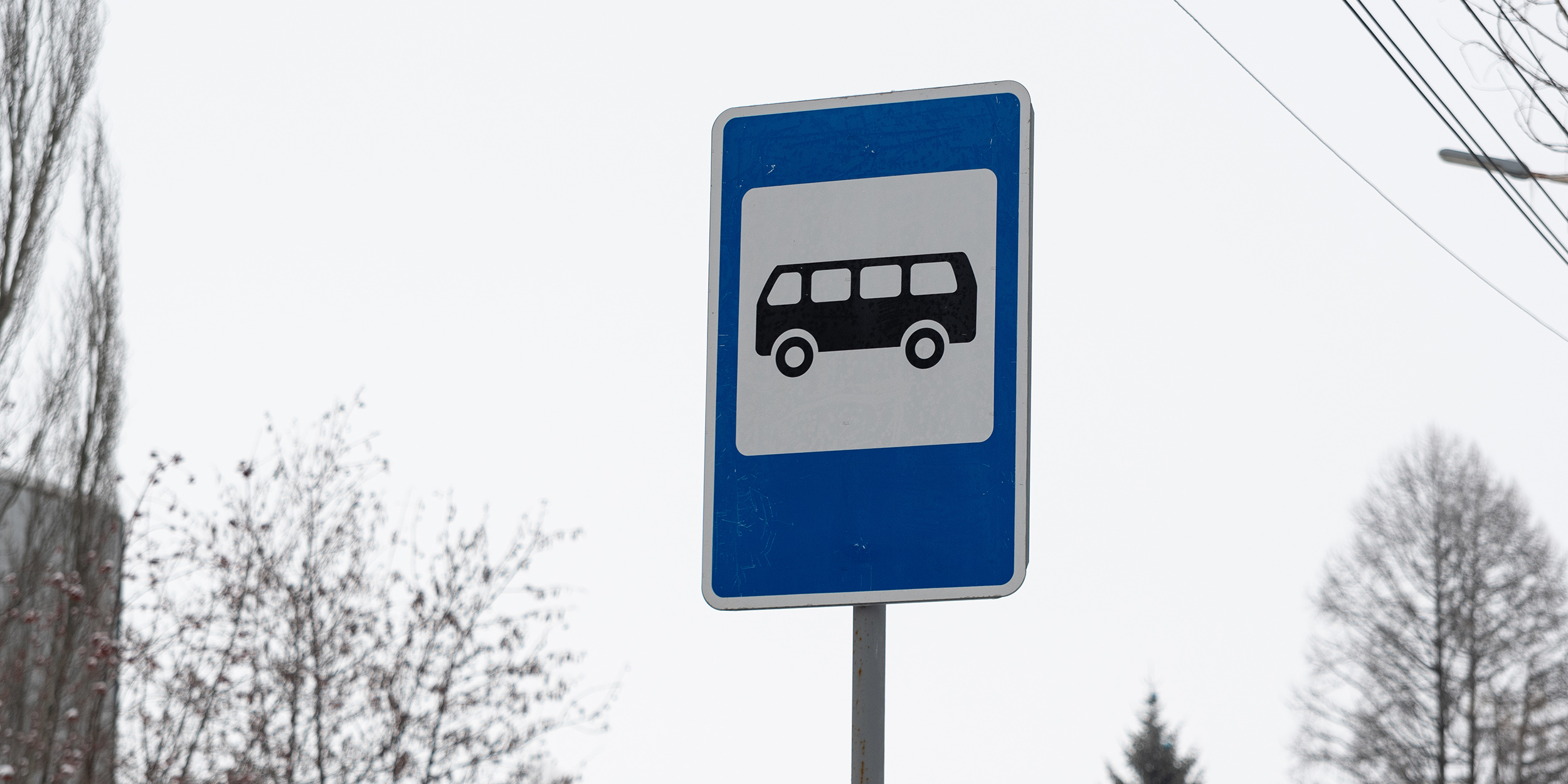 Дорожная безопасность: знаки