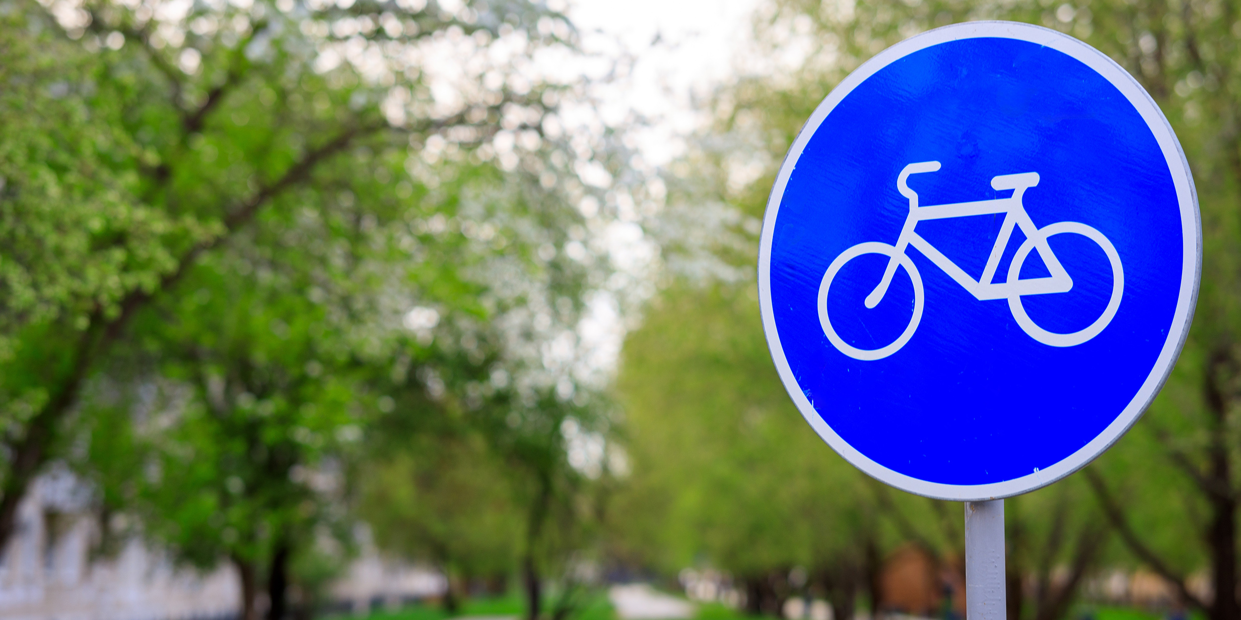 Знак «Велосипедная дорожка» Дорожная безопасность: знак «Велосипедная дорожка»