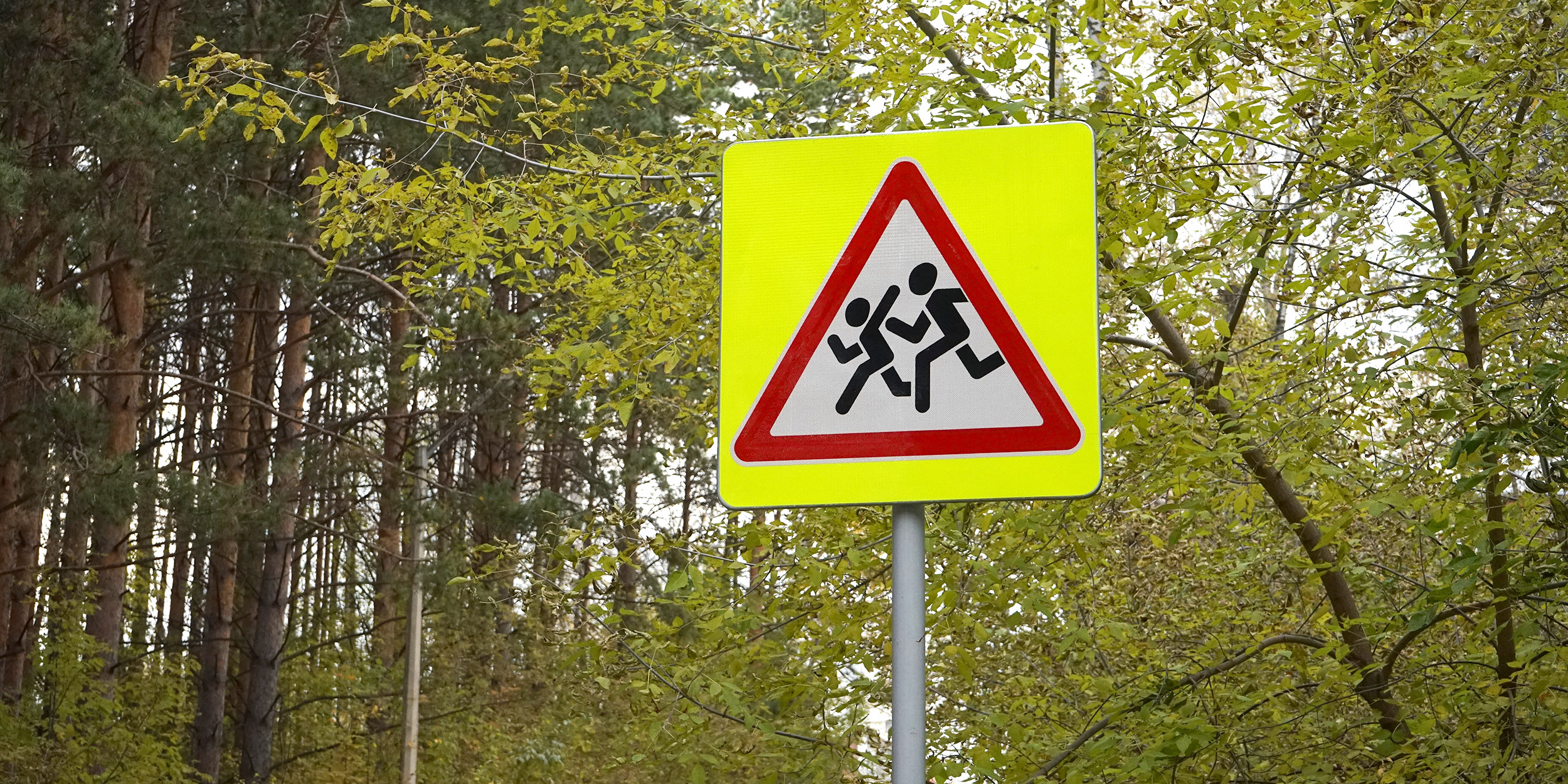 Знак «Дети» Дорожная безопасность: знак «Дети»