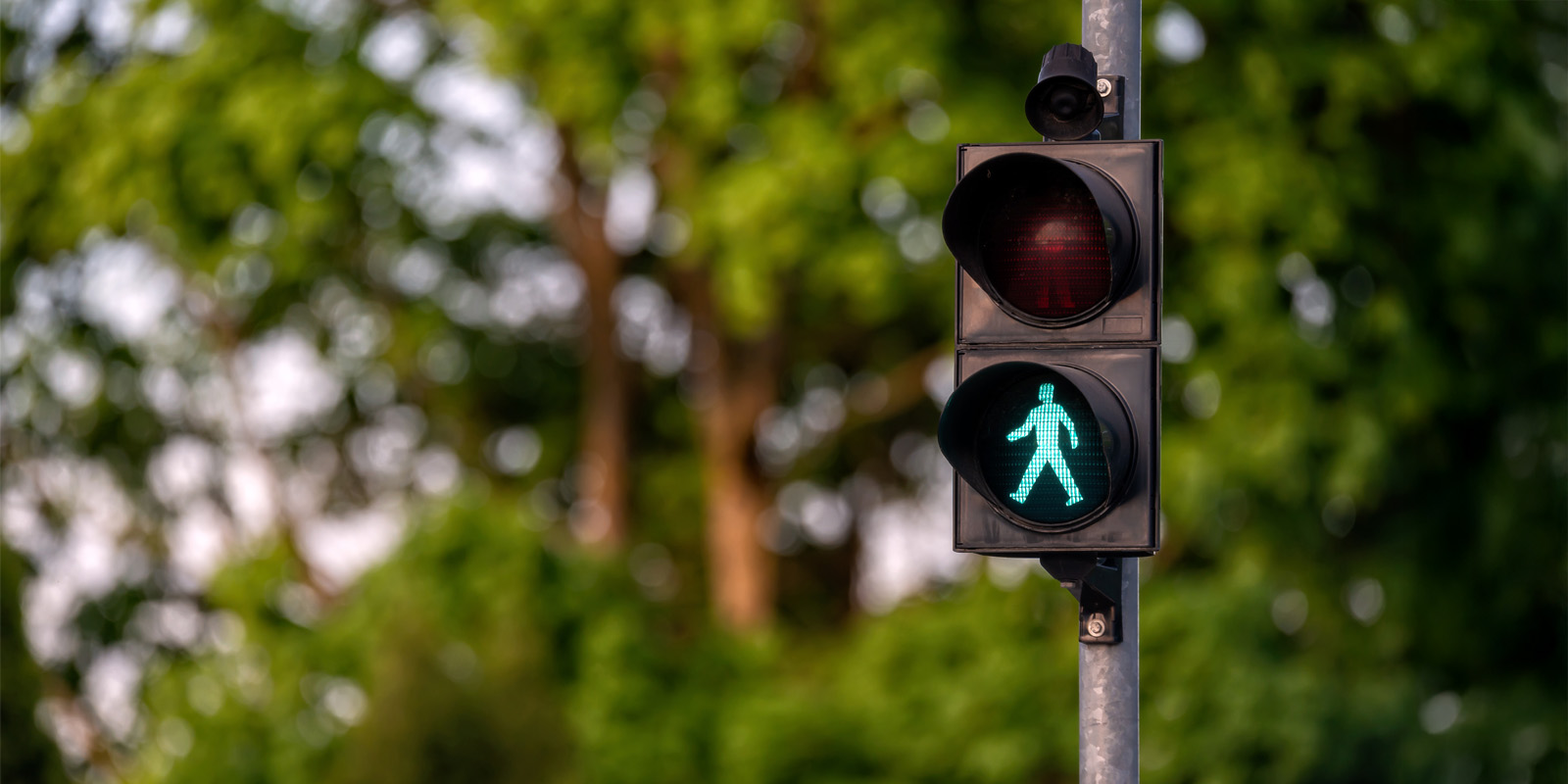 Светофоры Дорожная безопасность: светофоры