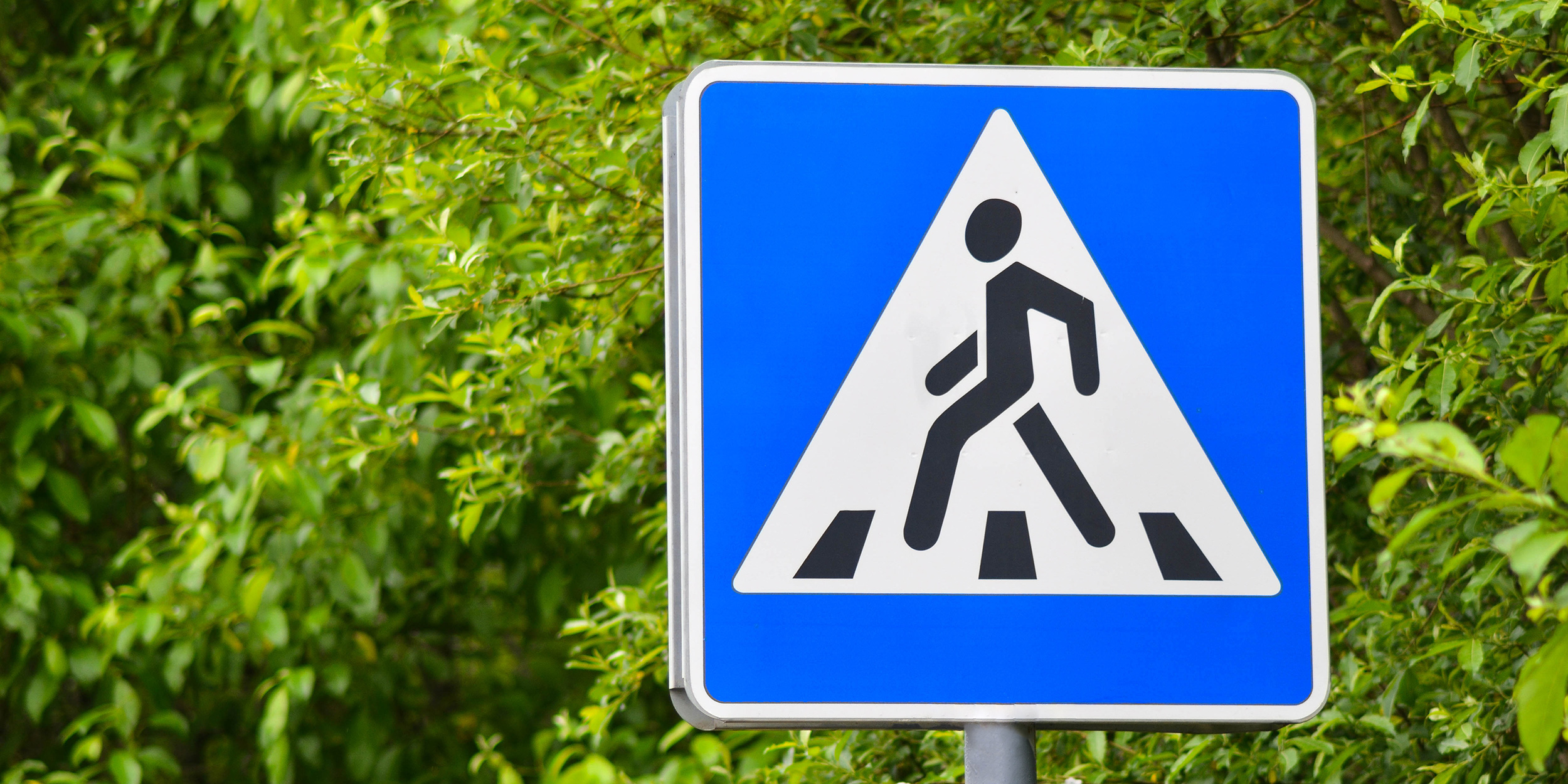 Дорожная безопасность: знаки